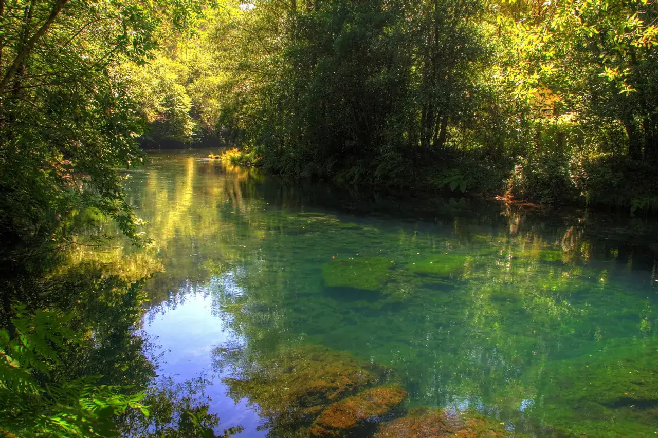 Fragas do Eume, Galicia, España.